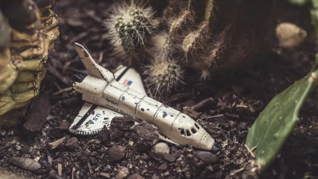 A toy space shuttle resting among cacti on dry soil